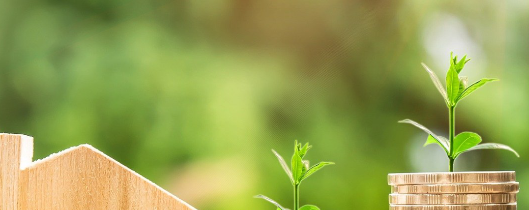 My Post-6 Minnesota Mortgage Options Guide for Home Buyers